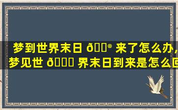 梦到世界末日 💮 来了怎么办,梦见世 🍀 界末日到来是怎么回事